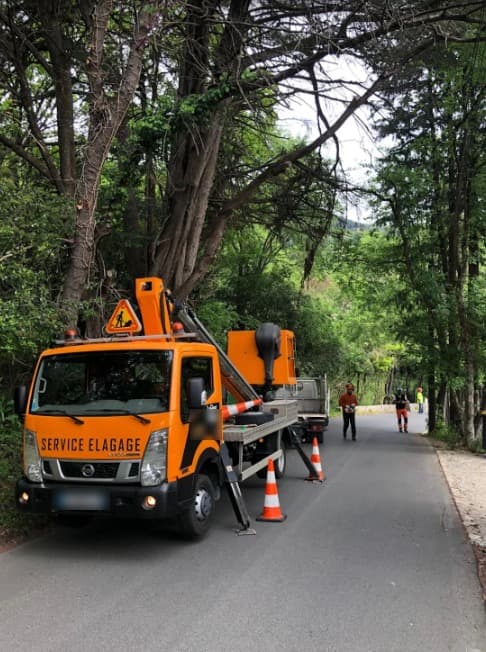 Camion nacelle d’élagage et équipe balisant une route bordée de grands arbres